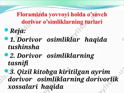 floramizda yovvoyi holda o’suvch dorivor o’simliklarning turlari — PPTX