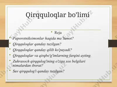 qirqquloqlar bo’limi — PPTX
