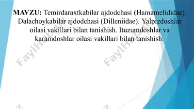 temirdaraxtkabilar ajdodchasi (hamamelididae). dalachoykabilar ajdodchasi (dilleniidae). yalpizdoshlar — PPTX