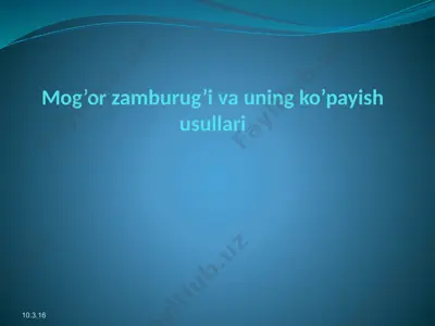 mog’or zamburug’i va uning ko’payish usullari — PPTX