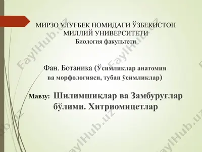 шилимшиқлар ва замбуруғлар бўлими. хитриомицетлар — PPTX