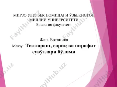 тилларанг, сариқ ва пирофит сувўтлари бўлими — PPTX