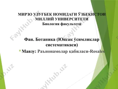 раънонамолар қабиласи-rosales — PPTX