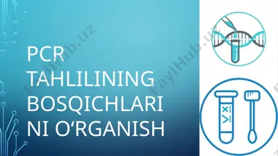 pcr tahlilining bosqichlari — PPTX