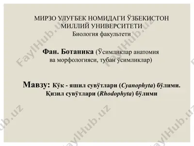 кўк - яшил сувўтлари (cyanophyta) бўлими. қизил сувўтлари (rhodophyta) бўлими — PPTX