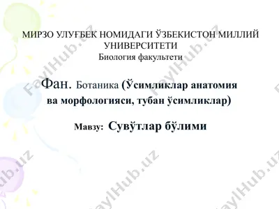 сувўтлар бўлими — PPTX