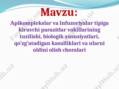аpikomplekslar va infuzoriyalar tipiga kiruvchi parazitlar vakillarining tuzilishi, biologik xususiyatlari — PPTX