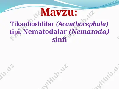 tikanboshlilar (acanthocephala) tipi. nematodalar (nematoda) sinfi — PPTX