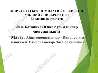 айиқтовоннамолар –ranunculales қабиласи. раънонамолар-rosales қабиласи — PPTX