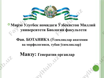 генератив органлар — PPTX