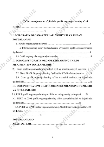 grafik organayzerlar — DOCX