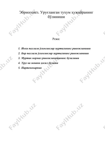 эбриогенез. уруғланган тухум ҳужайранинг бўлиниши — DOC