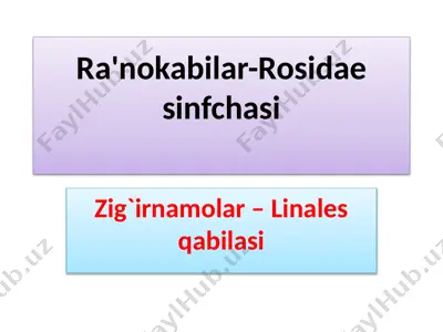 ra'nokabilar-rosidae sinfchasi. zig`irnamolar – linales qabilasi — PPTX