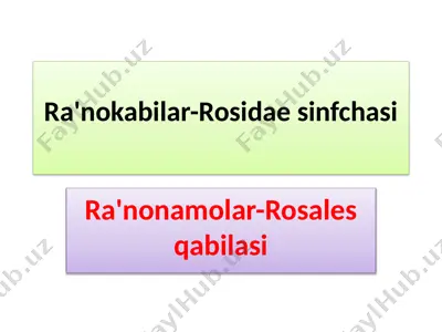 ra'nokabilar-rosidae sinfchasi — PPTX