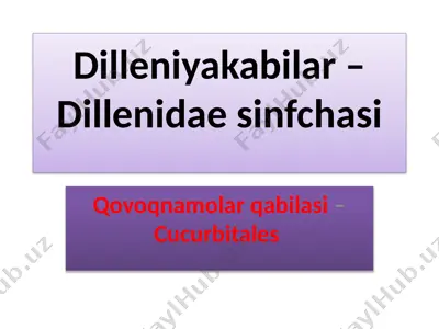 dilleniyakabilar –dillenidae sinfchasi qovoqnamolar qabilasi –cucurbitales — PPTX
