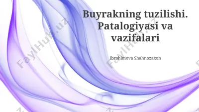 buyrakning tuzilishi. patologiyasi va vazifalari — PPTX