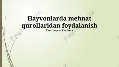 hayvonlarda mehnat qurollaridan foydalanish — PPTX