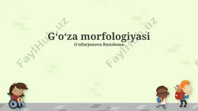 gʻoʻza (paxta) morfologiyasi — PPTX