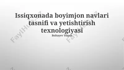 issiqxonada boyimjon navlari tasnifi va yetishtirish texnologiyasi — PPTX