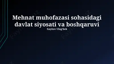 mehnat muhofazasi sohasidagi davlat siyosati va boshqaruvi — PPTX