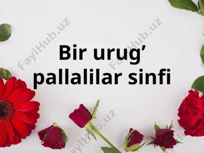 bir urug’ pallalilar sinfi — PPTX