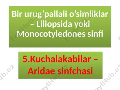 bir urug’pallali o’simliklar – liliopsida yoki monocotyledones sinfi — PPTX