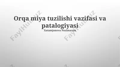 orqa miya tuzilishi vazifasi va patalogiyasi — PPTX