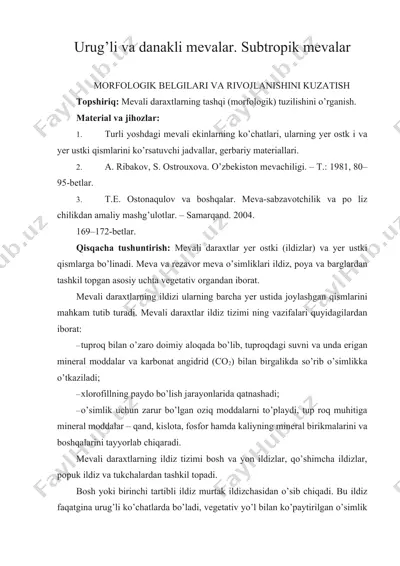 urug’li va danakli mevalar. subtropik mevalar — DOCX