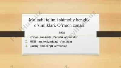 mo’tadil iqlimli shimoliy kеnglik o’simliklari. o’rmon zonasi — PPTX