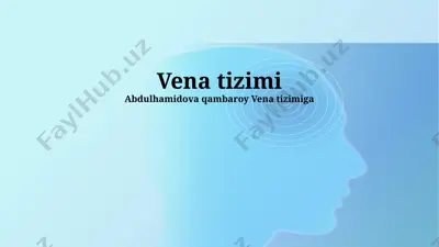 vena tizimi — PPTX