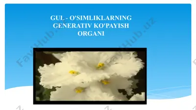 gul - o'simliklarning generativ ko'payish organi 3 — PPTX