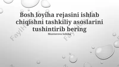 loyiha xartiyasi va tashkiliy asoslari — PPTX