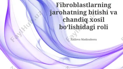 fibroblastlarning jarohat bitishi va chandiq hosil bo‘lishidagi roli — PPTX