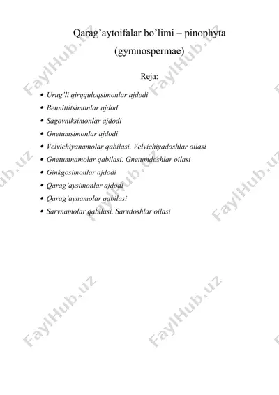 qarag’aytoifalar bo’limi – pinophyta (gymnospermae) — DOCX