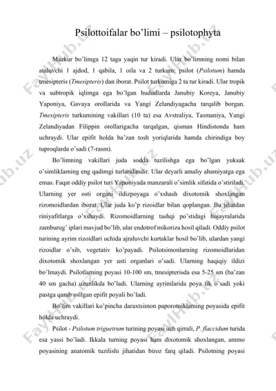 psilottoifalar bo’limi – psilotophyta — DOCX