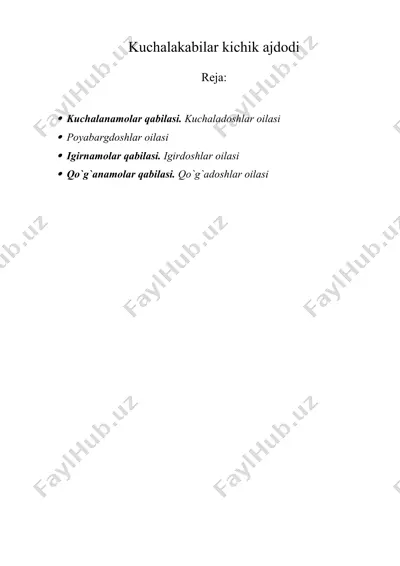kuchalakabilar kichik ajdodi — DOCX