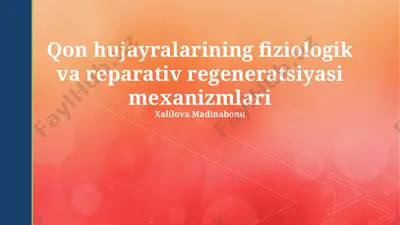 qon hujayralarining fiziologik va reparativ regeneratsiyasi mexanizmlari — PPTX