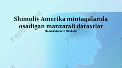 shimoliy amerika mintaqalarida osadigan manzarali daraxtlar — PPTX