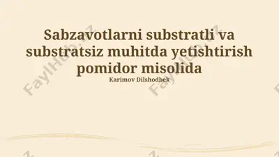pomidorni substratli va substratsiz muhitda yetishtirish usullari — PPTX