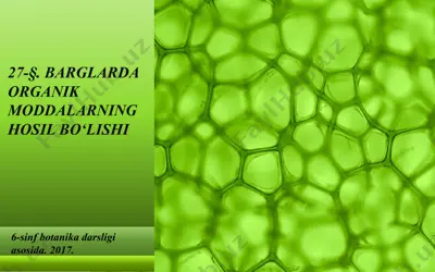 barglarda organik moddalarning hosil bo‘lishi. 6 - sinf — PPTX