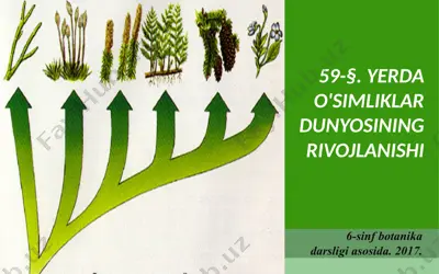 yerda o'simliklar dunyosining rivojlanishi. 6 - sinf — PPTX