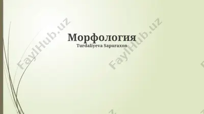 морфология — PPTX