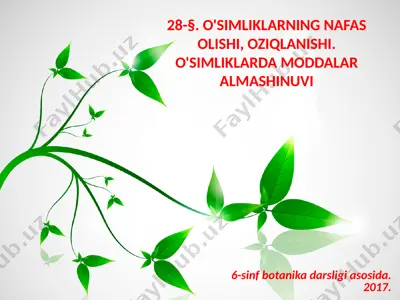 o'simliklarning nafas olishi, oziqlanishi. o'simliklarda moddalar almashinuvi. 6 - sinf — PPTX