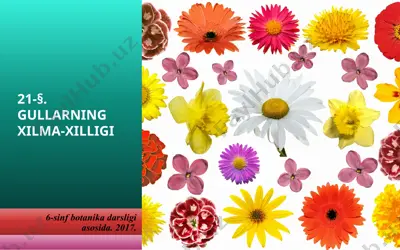 gullarning xilma-xilligi. 6 - sinf — PPTX