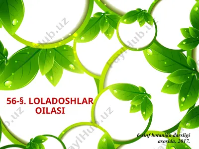 loladoshlar oilasi. 6 - sinf — PPTX