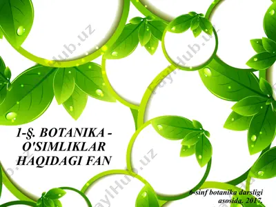 botanika - o'simliklar haqidagi fan. 6 - sinf — PPTX