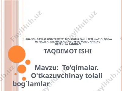 to'qimalar. o'tkazuvchinay tolali bog`lamlar — PPTX