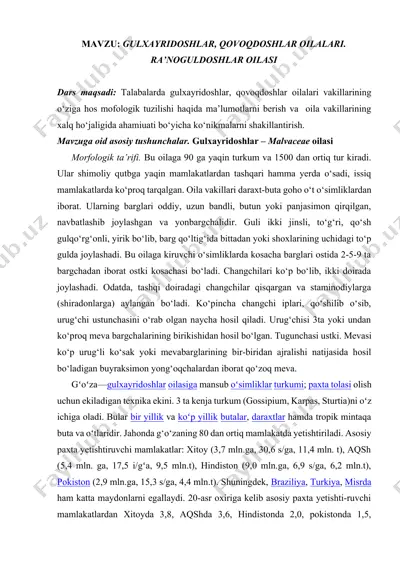 gulxayridoshlar, qovoqdoshlar va ra’noguldoshlar oilalari haqida taqdimot — DOCX