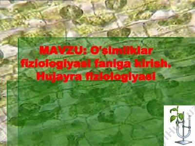 oʼsimliklar fiziologiyasi faniga kirish. hujayra fiziologiyasi — PPTX