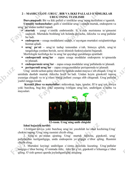 bir va ikki pallali o‘simliklar urug‘ining tuzilishi — DOCX